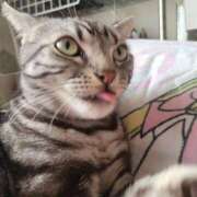 ヒメ日記 2025/02/01 17:34 投稿 高山 誘惑マル秘ミセス