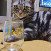 ヒメ日記 2025/02/02 07:53 投稿 高山 誘惑マル秘ミセス