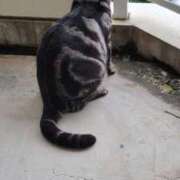 ヒメ日記 2025/02/04 09:52 投稿 高山 誘惑マル秘ミセス