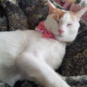 ヒメ日記 2025/02/08 08:55 投稿 高山 誘惑マル秘ミセス