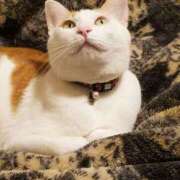 ヒメ日記 2025/02/13 10:22 投稿 高山 誘惑マル秘ミセス