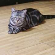 ヒメ日記 2025/02/15 09:33 投稿 高山 誘惑マル秘ミセス