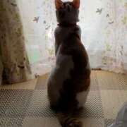 ヒメ日記 2025/02/21 18:14 投稿 高山 誘惑マル秘ミセス