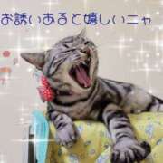 ヒメ日記 2025/02/23 12:00 投稿 高山 誘惑マル秘ミセス