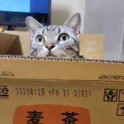 ヒメ日記 2025/02/23 19:48 投稿 高山 誘惑マル秘ミセス