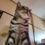 ヒメ日記 2025/02/26 09:37 投稿 高山 誘惑マル秘ミセス