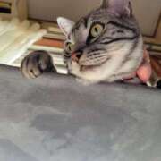 ヒメ日記 2025/02/28 16:32 投稿 高山 誘惑マル秘ミセス