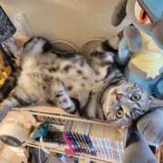 ヒメ日記 2025/03/02 19:36 投稿 高山 誘惑マル秘ミセス