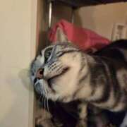 ヒメ日記 2025/03/03 08:03 投稿 高山 誘惑マル秘ミセス