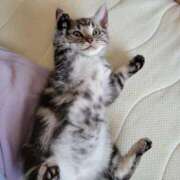 ヒメ日記 2025/03/04 09:05 投稿 高山 誘惑マル秘ミセス