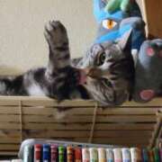 ヒメ日記 2025/03/07 10:55 投稿 高山 誘惑マル秘ミセス