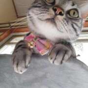 ヒメ日記 2025/03/08 21:24 投稿 高山 誘惑マル秘ミセス