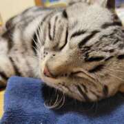 ヒメ日記 2025/03/10 10:37 投稿 高山 誘惑マル秘ミセス