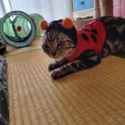 ヒメ日記 2025/03/12 08:15 投稿 高山 誘惑マル秘ミセス