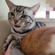 ヒメ日記 2025/03/15 20:00 投稿 高山 誘惑マル秘ミセス