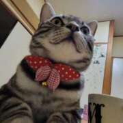 ヒメ日記 2025/03/16 19:19 投稿 高山 誘惑マル秘ミセス