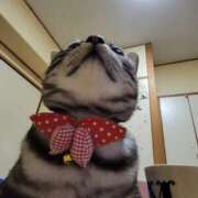 ヒメ日記 2025/03/21 18:30 投稿 高山 誘惑マル秘ミセス