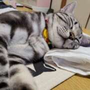 ヒメ日記 2025/03/22 19:27 投稿 高山 誘惑マル秘ミセス