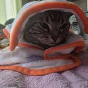 ヒメ日記 2025/03/23 18:20 投稿 高山 誘惑マル秘ミセス