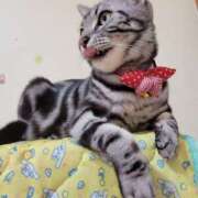 ヒメ日記 2025/03/25 18:33 投稿 高山 誘惑マル秘ミセス