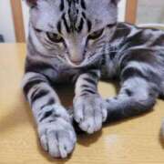 ヒメ日記 2025/03/27 10:13 投稿 高山 誘惑マル秘ミセス