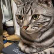 ヒメ日記 2025/03/29 20:22 投稿 高山 誘惑マル秘ミセス