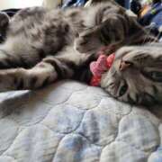 ヒメ日記 2025/04/02 12:24 投稿 高山 誘惑マル秘ミセス