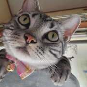 ヒメ日記 2025/04/06 15:53 投稿 高山 誘惑マル秘ミセス