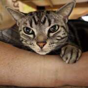 ヒメ日記 2025/04/13 09:16 投稿 高山 誘惑マル秘ミセス