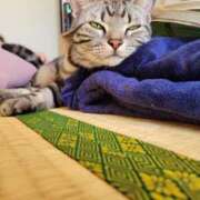 ヒメ日記 2025/04/15 11:36 投稿 高山 誘惑マル秘ミセス