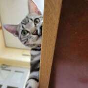 ヒメ日記 2025/04/20 18:42 投稿 高山 誘惑マル秘ミセス