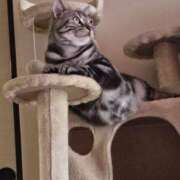 ヒメ日記 2025/04/26 10:22 投稿 高山 誘惑マル秘ミセス