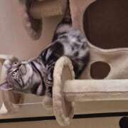 ヒメ日記 2025/05/16 02:43 投稿 高山 誘惑マル秘ミセス