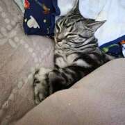 ヒメ日記 2025/05/31 21:43 投稿 高山 誘惑マル秘ミセス