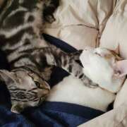 ヒメ日記 2025/06/21 17:15 投稿 高山 誘惑マル秘ミセス