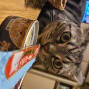 ヒメ日記 2025/07/02 14:33 投稿 高山 誘惑マル秘ミセス