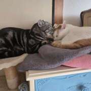 ヒメ日記 2025/10/18 14:10 投稿 高山 誘惑マル秘ミセス