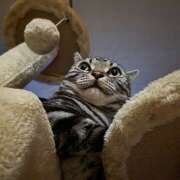 ヒメ日記 2025/11/19 09:12 投稿 高山 誘惑マル秘ミセス