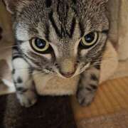 ヒメ日記 2026/01/09 09:19 投稿 高山 誘惑マル秘ミセス