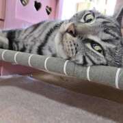 ヒメ日記 2026/01/12 07:42 投稿 高山 誘惑マル秘ミセス