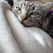 ヒメ日記 2026/01/14 12:47 投稿 高山 誘惑マル秘ミセス