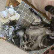 ヒメ日記 2026/01/22 09:24 投稿 高山 誘惑マル秘ミセス