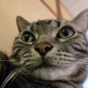 ヒメ日記 2026/01/22 18:20 投稿 高山 誘惑マル秘ミセス