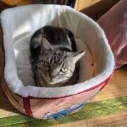 ヒメ日記 2026/01/30 09:23 投稿 高山 誘惑マル秘ミセス