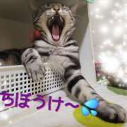 ヒメ日記 2026/02/15 08:00 投稿 高山 誘惑マル秘ミセス