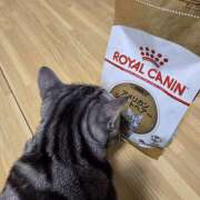 ヒメ日記 2026/02/15 18:57 投稿 高山 誘惑マル秘ミセス