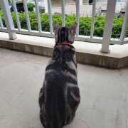 ヒメ日記 2026/02/18 15:31 投稿 高山 誘惑マル秘ミセス