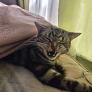 ヒメ日記 2026/02/22 21:09 投稿 高山 誘惑マル秘ミセス