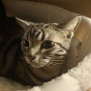 ヒメ日記 2026/02/25 05:19 投稿 高山 誘惑マル秘ミセス