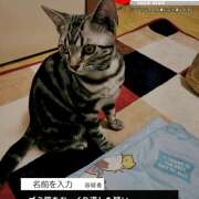ヒメ日記 2026/02/26 18:24 投稿 高山 誘惑マル秘ミセス